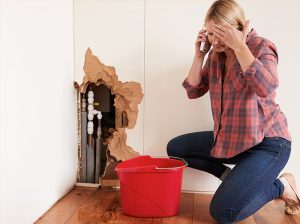 Plumbing Emergency: What to Do Until Help Arrives